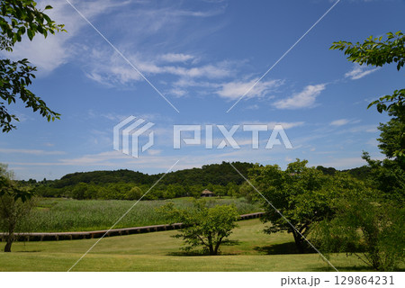涸沼自然公園　2025-6-28　＃103 129864231