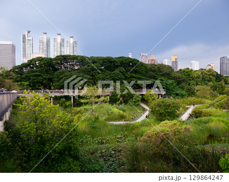 Bangkok, Thailand - August 03, 2025 : Urban Nature Scene at Benchakitti Forest Public Park with People in Bangkok. Bangkok, Thailand - August 03, 2025 : Urban Nature Scene at Benchakitti Forest Public Park with People in Bangkok. 129864247