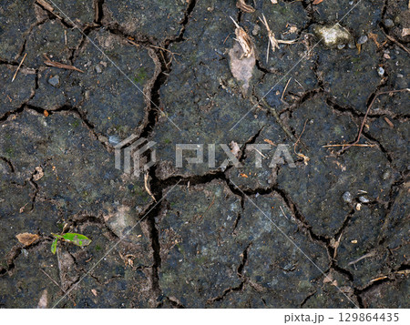 Dry cracked dark soil texture background in nature. Dry cracked dark soil texture background in nature. 129864435