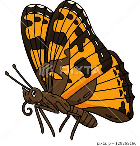 Insect Painted Lady Butterfly Animal Clipart Insect Painted Lady Butterfly Animal Clipart 129865166