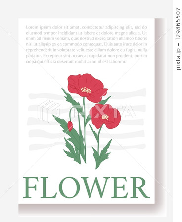 Abstract flower poster. Poppy minimal plant, floral summer garden, flyer with copy space for text, botanical invitation card, background simple, notebook cover or print. Vector isolated illustration 129865507