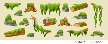 Cartoon moss plants. Slichen, vines on log, tree trunk, stone with green. Jungle vegetation, swamp texture for game. Vector cartoon flat style isolated illustration, forest element garish background 129865552