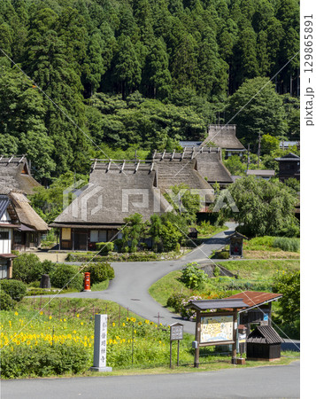 由良川の堤防から見る夏の美山かやぶきの里 129865891