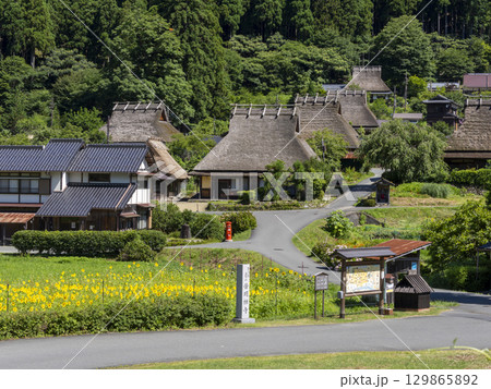 由良川の堤防から見る夏の美山かやぶきの里 129865892