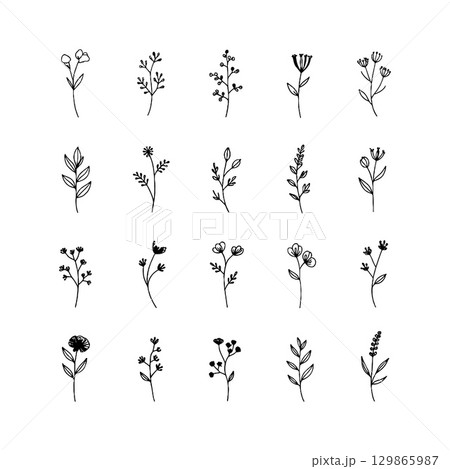 Delicate Floral Outline. Thin line floral elements in a hand-drawn style, ideal for subtle botanical patterns or minimalistic nature-themed designs. Delicate Floral Outline. Thin line floral elements in a hand-drawn style, ideal for subtle botanical patterns or minimalistic nature-themed designs. 129865987