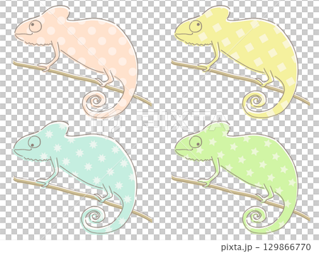 カラフルなカメレオンのイラストセット カラフルなカメレオンのイラストセット 129866770