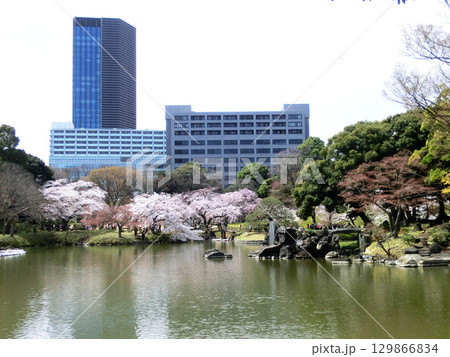 東京都文京区の小石川後楽園（蓬莱島の徳大寺石と亀島） 129866834
