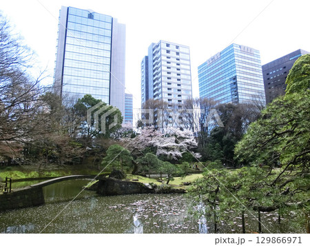 東京都文京区の小石川後楽園の内庭(唐門復元前) 東京都文京区の小石川後楽園の内庭(唐門復元前) 129866971