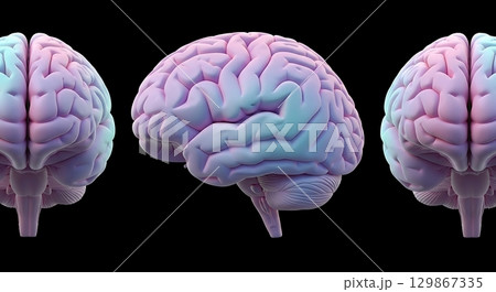 3d rendering of human brain 129867335