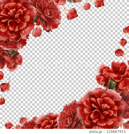 Red carnation flower in square frame as a symbol of mothers day,love,passion,valentine's day confessions. Isolated Watercolor hand-drawn illustration in vintage style as element for card,banner 129867451