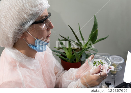 Research on Aloe Plant Applications in a Laboratory Setting Research on Aloe Plant Applications in a Laboratory Setting 129867695