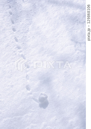 雪原の雪模様 雪原の雪模様 129868106
