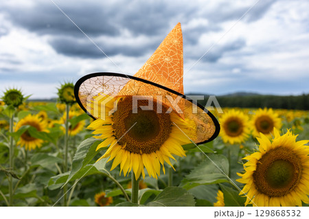 Sunflower Wearing a Festive Orange Witch Hat in a Sunny Field Under a Cloudy Sky Sunflower Wearing a Festive Orange Witch Hat in a Sunny Field Under a Cloudy Sky 129868532