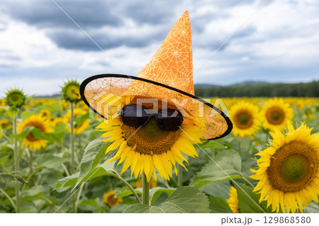 Sunflower Wearing Hat and Sunglasses in a Vibrant Field on a Cloudy Day 129868580