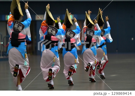 本場徳島阿波踊り　有名連の女踊り　 129869414