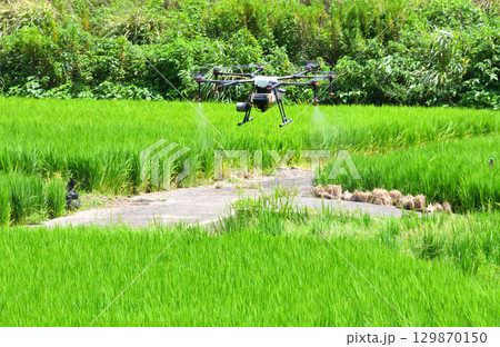ドローンによる農薬散布 ドローンによる農薬散布 129870150