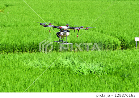 ドローンによる農薬散布 129870165