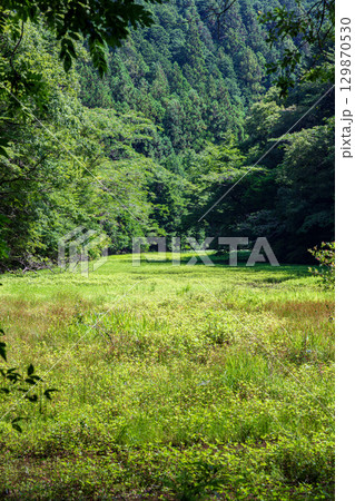 静岡県周智郡森町鍛治島　山里の風景 129870530