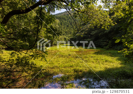 静岡県周智郡森町鍛治島　山里の風景 129870531