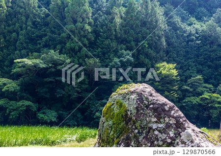 静岡県周智郡森町鍛治島　山里の風景 129870566