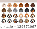 Standard poodle dogs clipart. All coat colors set 129871067