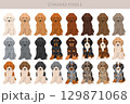 Standard poodle dogs clipart. All coat colors set 129871068