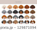Toy poodle clipart. Different coat colors set 129871094