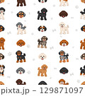 Toy poodle clipart. Different coat colors set 129871097