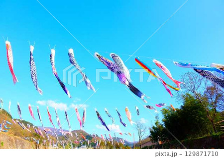 こいのぼり 鯉のぼり 鯉幟 高瀬川 山形市 こいのぼり 鯉のぼり 鯉幟 高瀬川 山形市 129871710