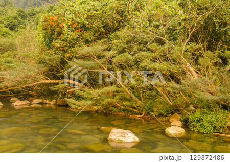 Bank of the Chay River. 129872486