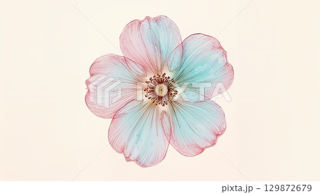 A flower with a blue center and pink petals 129872679