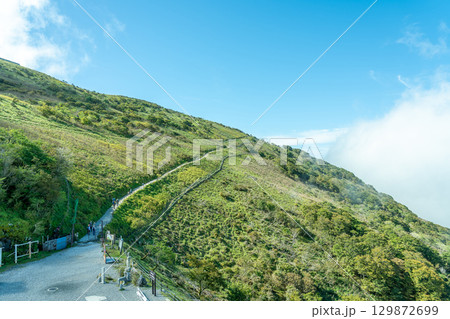 岐阜県関ケ原町　伊吹山ドライブウェイ駐車場からの山頂への登山道 129872699