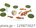 Koi fish swimming with full moon and lotus leaves for mid autumn festival. Isolated on transparent background 129873027