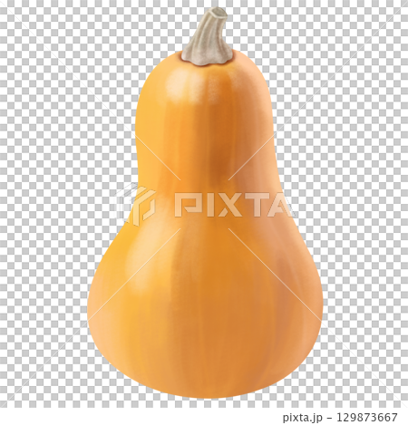 葫蘆形南瓜 129873667
