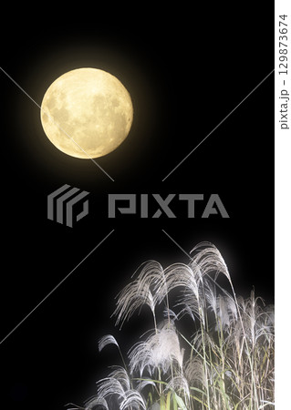 秋の夜の黒背景に満月とススキ。お月見素材 秋の夜の黒背景に満月とススキ。お月見素材 129873674