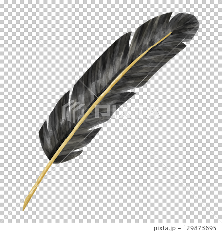 Watercolor illustration of a black feather pen Watercolor illustration of a black feather pen 129873695