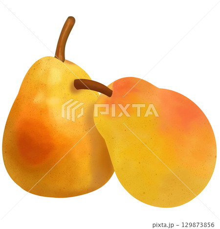 少し赤い洋梨 少し赤い洋梨 129873856