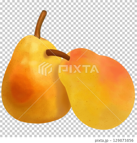 少し赤い洋梨 少し赤い洋梨 129873856