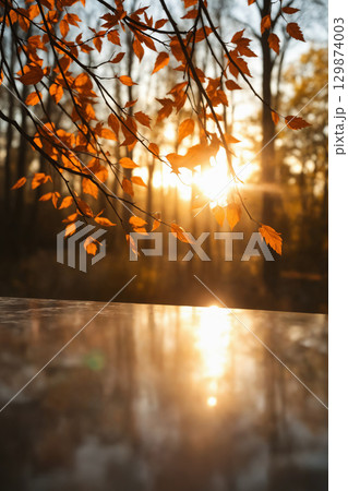 Yellow Leaves in sunlight. Autumn background for presentation 129874003