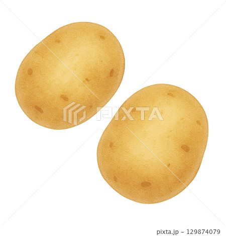 【野菜】じゃがいものイラスト/タイプ2 129874079