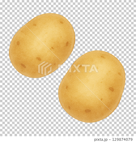 【野菜】じゃがいものイラスト/タイプ2 129874079