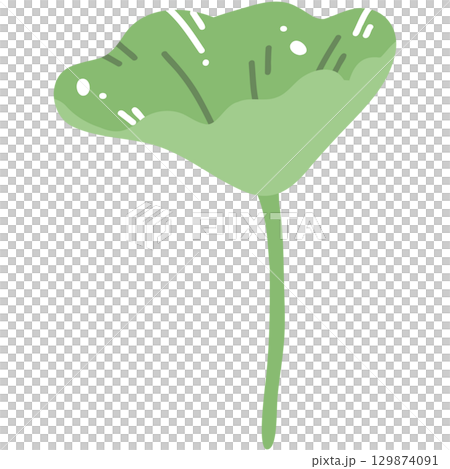 Minimal Lotus Pad Illustration 129874091