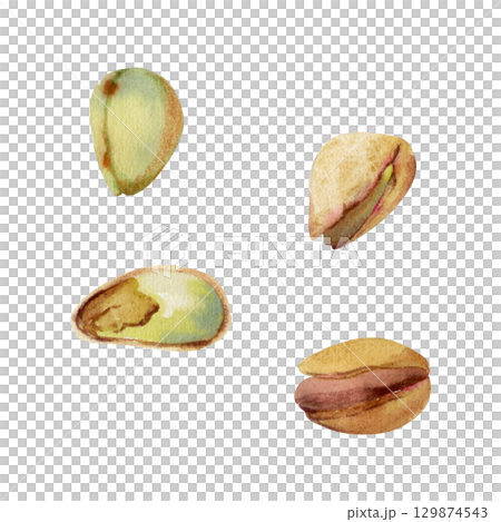 Natural pistachio cashew nuts with cracked shells and green kernels, culinary fruit seeds. Isolated illustration hand drawn in watercolor. Gourmet food label, dessert topping art, artisan snack wrap. 129874543
