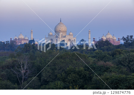 朝日に照らされたタージ・マハル 129874776