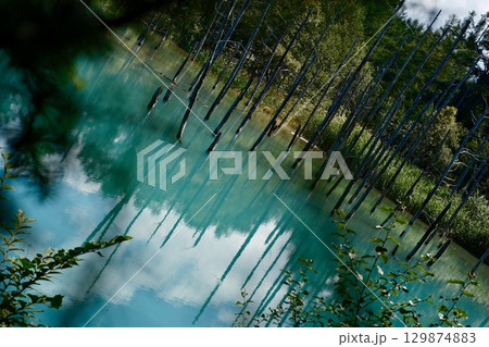 青い池 青い池 129874883