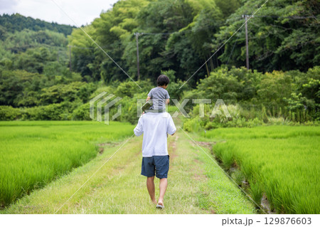 肩車、父と息子の後ろ姿 夏休み田舎 肩車、父と息子の後ろ姿 夏休み田舎 129876603
