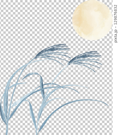 Watercolor illustration of silver grass silhouette and full moon 129876832