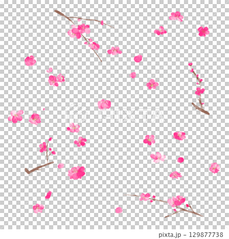 水彩梅花插圖集 129877738