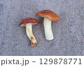 Two Fresh Suillus Mushrooms on Concrete Background 129878771