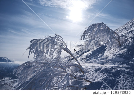 厳冬のニセコアンヌプリ北尾根にある樹氷 129878926